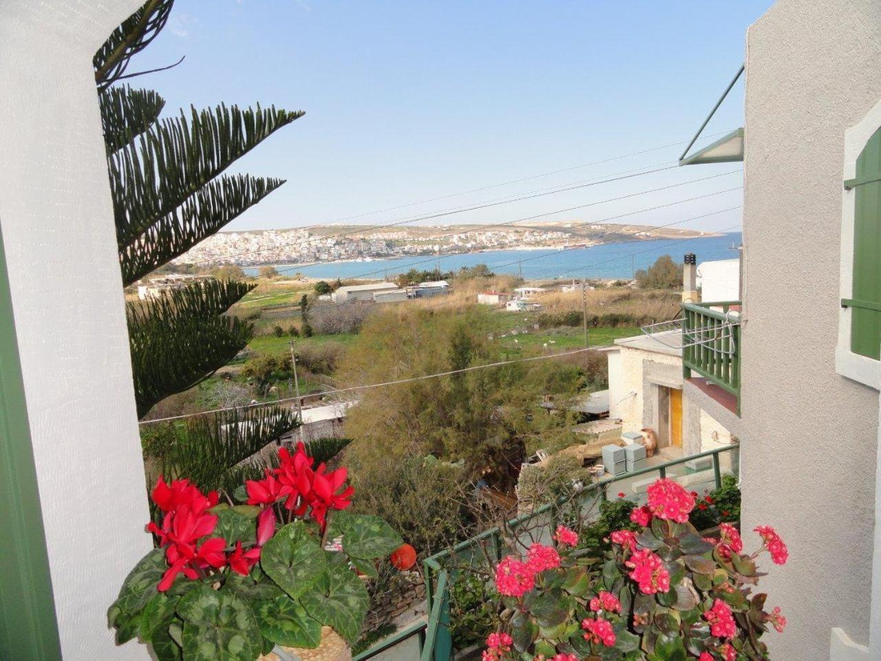 Bellevue Apartments Сития Экстерьер фото